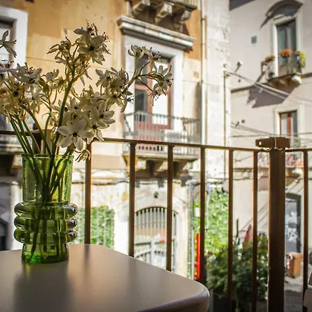 Apartamento Centro 19